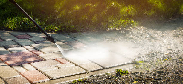 Best Animal Enclosure Cleaning  in Waelder, TX